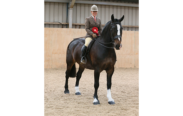 Maxi cob class Winner
22 BOSS MURPHY R: DANIELLE HEATH