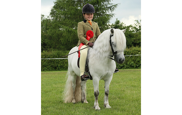 Junior M&M championship Reserve 195 Briar snowman R Grace Litherland