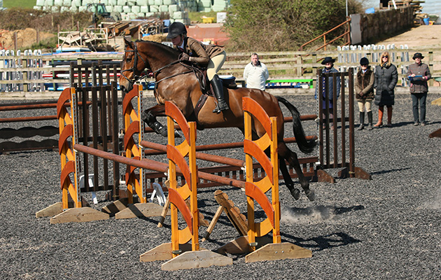 RIHS Open Working Hunter WINNER 71 CARNSDALE MR COOL ALICE BARNES