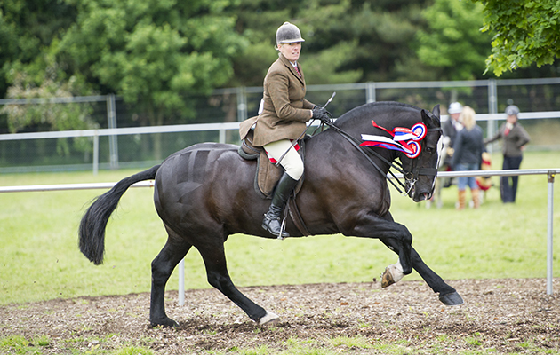 Katie Jerram and Copycat