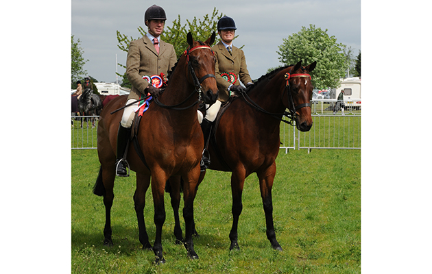 Nottinghamshire County Show 14.05.16 Riding Horse  No. 89 R/Horse Champion & No. 82 Res. (R)