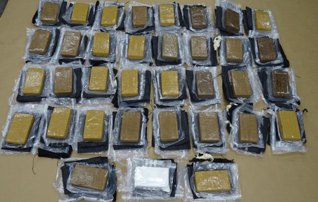 Diamante drugs horse pictures cocaine_bricks_laid_out_-_copy