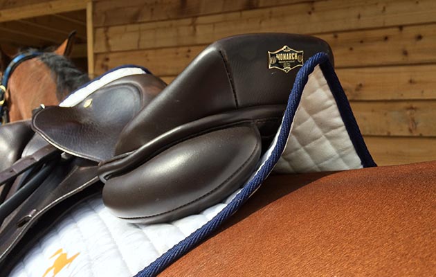 HRP-saddlecloth-rear-nopad