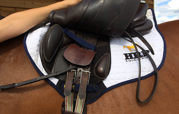 HRP-saddlecloth-straps