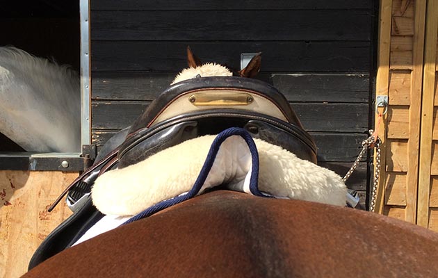 HRP-saddlecloth-with-halfpad