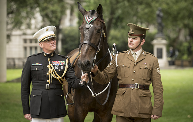 Hadalgo recieves PDSA Dickin Medal on behalf of Sgt Reckless