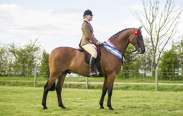 High Estate and Georgia Harvey (amatuer owner champ and res supreme champ)
