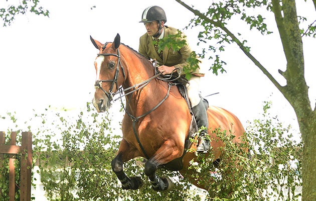 Rory Gilsenan and I'm A Diamond, winners of the Cuddy Heavyweight Working Hunter and Cuddy Working Hunter Champion, Royal Three Counties Show, 18-6-16
