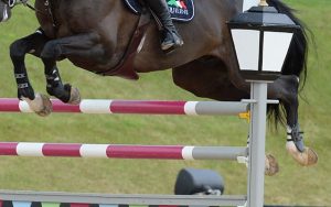 Darragh KENNY riding GO EASY DE MUZE in the International Competition 5, Class 23, during Bolesworth CSI **** held in the grounds of Bolesworth Castle near Chester in Cheshire in UK on 17 th June 2016