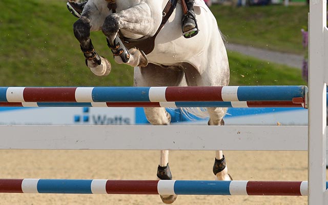 Shane BREEN during the Invitational Knockout International Competition Class 37, during Bolesworth CSI **** held in the grounds of Bolesworth Castle near Chester in Cheshire in UK on 18 th June 2016