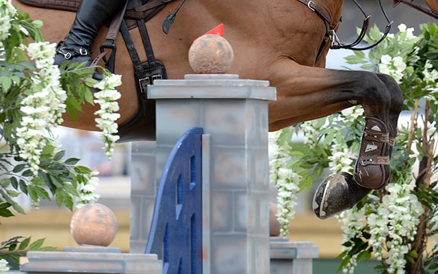 Library image: showjumper