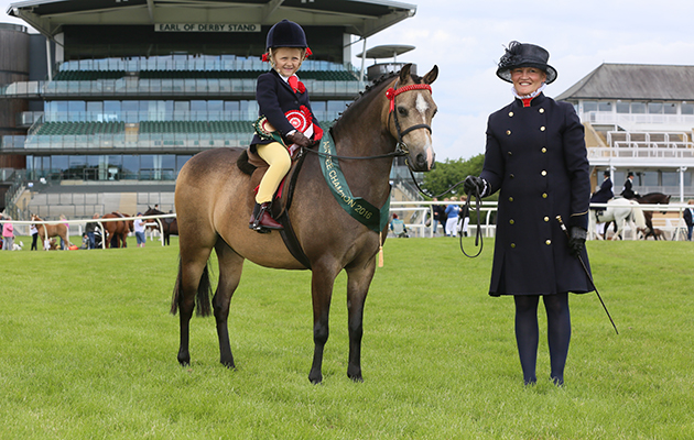 OPEN MINI SHOW PONY CHAMPIONSHIP CHAMPION 856 Laurens fairy dust R Lola Mitty H: Kate-anne Douglas