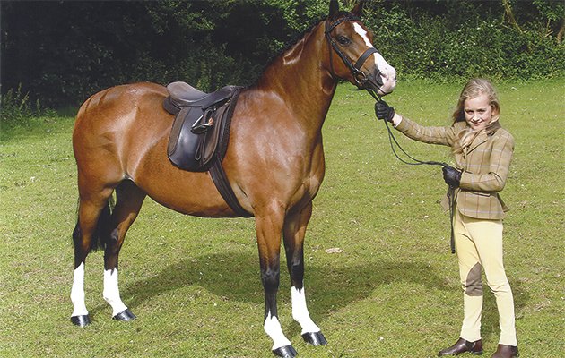 Dear Richard Tricia has very kindly put forward my daughters story for this week's showing life story. I may be a tiny bit biased, however she is such a caring little girl and is doing the ultimate in having her precious locks chopped off to donate it to children going through the trauma of cancer treatment. I have a fabulous picture of her today, after competing at Kent County, which I'll email over tomorrow morning by 8.15am latest. Having been a show reporter for the H&H for two seasons, although a little while ago, I remember the Monday drill. Matilda would be over the moon and so proud if she can see her picture and story in next weeks issue, she has raised a good amount - but we know we can do better. Lizzie Bunn is also on board to help out at the Royal International at the end of the month when we make the big chop. Thank you so much Laura Clutton