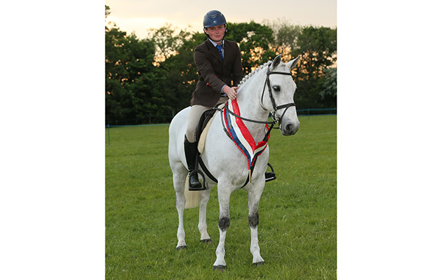 Supreme Working Hunter Pony Champion 389 Rochestown Prince Alisdair Prickett