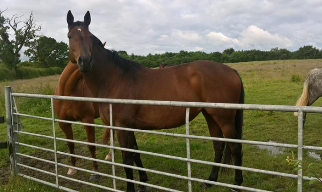 Screen Shot 2016-06-28 at 14.34.01