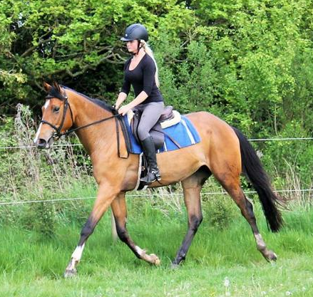 Screen Shot 2016-06-28 at 14.42.52