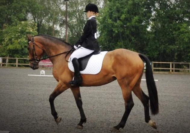 Screen Shot 2016-06-28 at 14.55.03