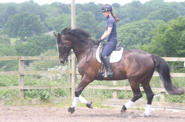 Screen Shot 2016-06-28 at 15.34.09