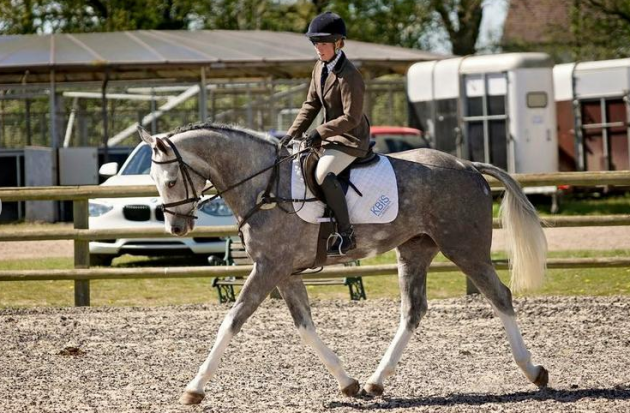 Screen Shot 2016-06-29 at 13.13.37