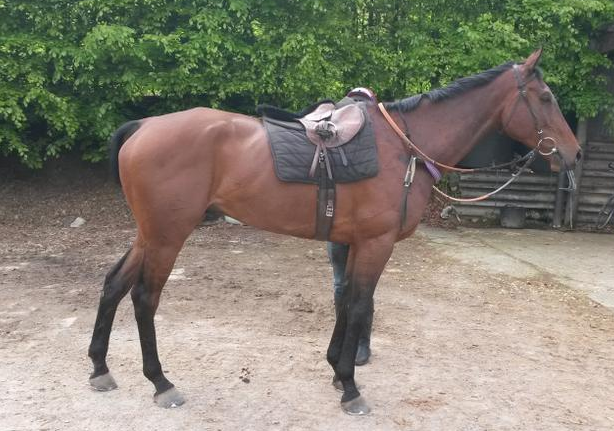 Screen Shot 2016-07-19 at 13.45.49