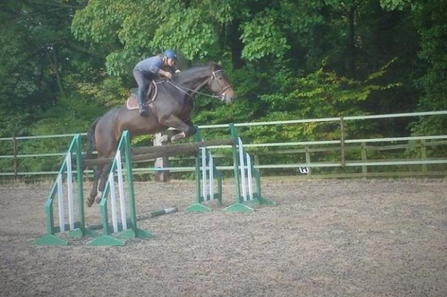 Screen Shot 2016-07-19 at 13.47.39