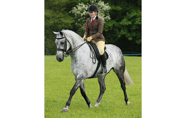 Members Supreme Champion 53 Secret Times II Lauren Mollard Judge Beryl Brookes Reserve Samantha Taylor’s Doolittle Tattibogle