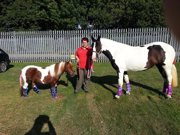 Shell, Molly and her Shetland