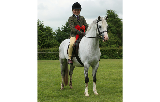 HOYS MINI M&M CHAMPIONSHIP CHAMPION. 110 Stockham Jeremy fisher
R Matthew Procter