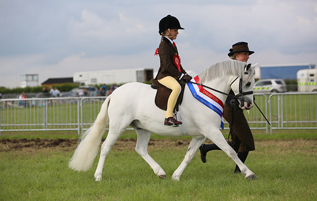 Mini M&M championship Champion 1897 THISTLEDOWN VAN DER VAART R: Miss Hannah Wilson