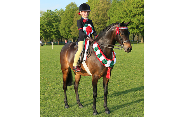AREA 3B PLAITED SUPREME CHAMPION. 210 WHITELEAZE AURORA R: MIA DONALDSON RESERVE 211 WILDERNESS EARLY BIRD R: GEORGINA HOLMES