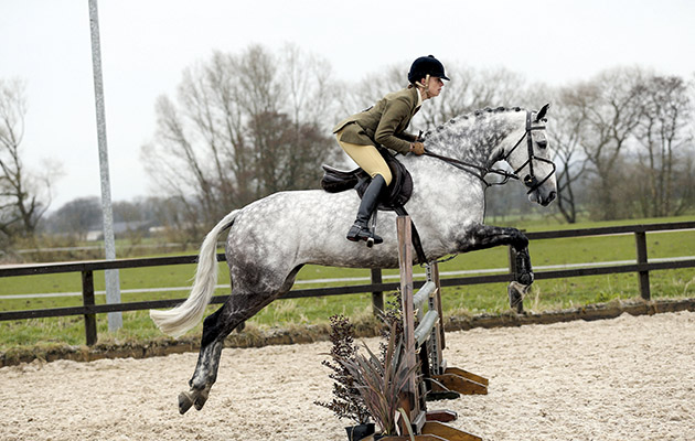 Way Out Star novice working hunter winner SHBGB annual show