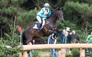 Coral Keen (GBR) & Wellshead Fare Opposition - Cross Country - Luhmühlen CCI4* - Salzhausen, Germany - 20 June 2015