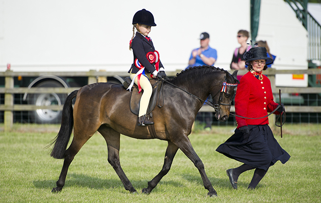 Westleake Sophistication