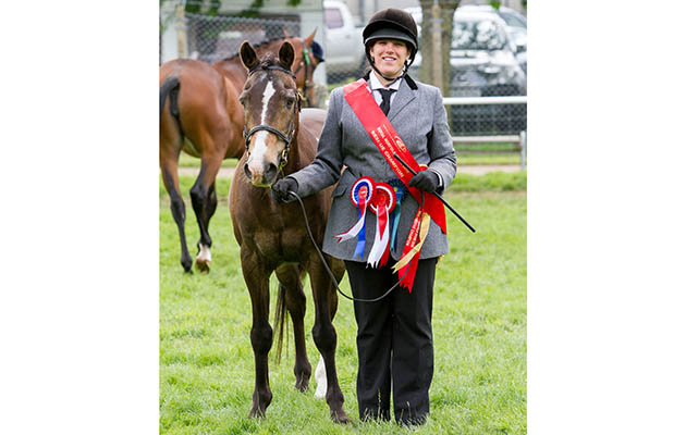 World Horse Welfare Lion at the Royal Norfolk Show 2016