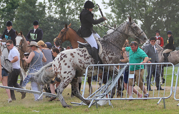 nter-hunt relay at Peterborough 2