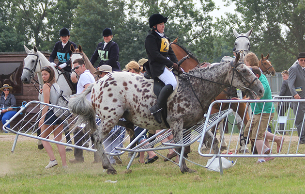 nter-hunt relay at Peterborough 8