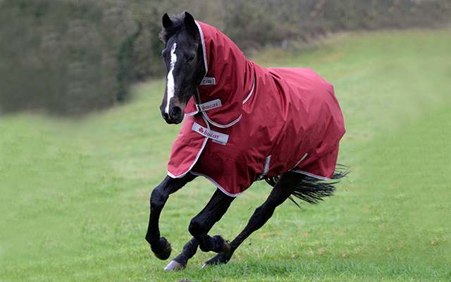 ????????????????????????????????????