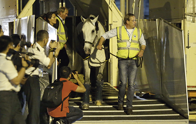 vet property 3 arriving in shanghai