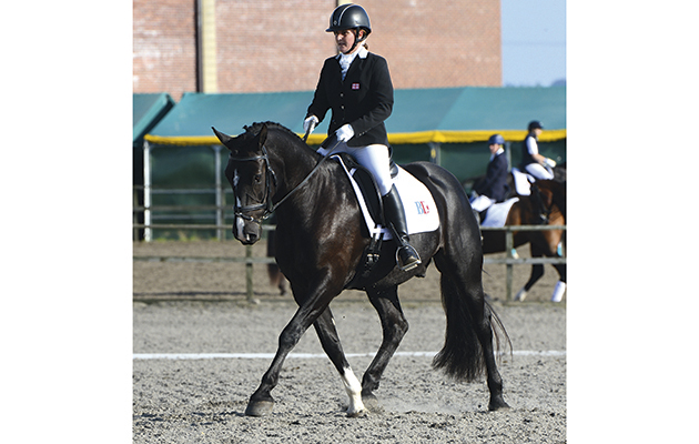 Sue Kiernan Wrekin Jack