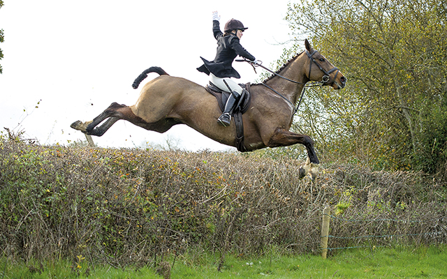 H&H hunting correspondent Carina Evans hails a cab over a Blackmore and Sparkford Vale hedge