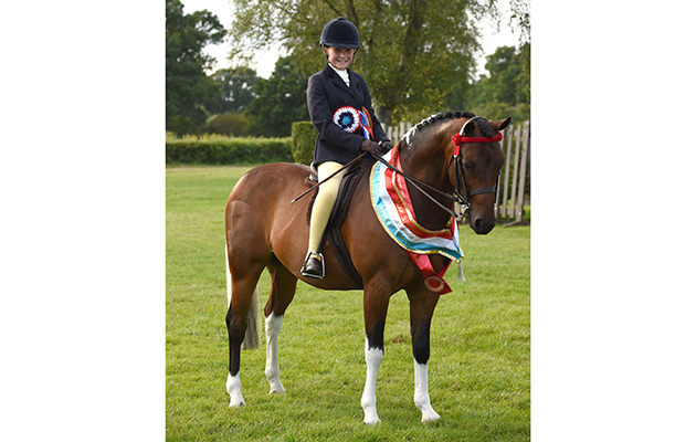 PHOEBE AIREY   riding BROOKFARM MR CHIPS, winner of the Skewbald & Piebald Amateur Championship during the Royal International Horse Show at The All England Jumping Course, Hickstead, West Sussex, UK  on 26 July 2016