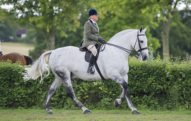 CLANTARA SHADOW PLAY AVRIL BARTOLOMY