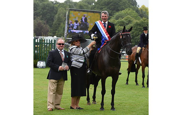 Edward Young and the late Classic Chauvanist stand supreme hack at the Royal International; tributes have been paid to the prolific hack