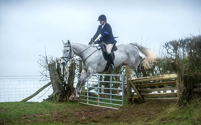 This follower of the Clifton-on-Teme Hunt could easily have jumped the gate, not just the hunt rail