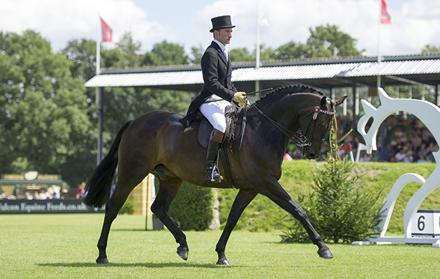 RIHS 2016 DIAMONDS ARE FOREVER ALLISTER HOOD