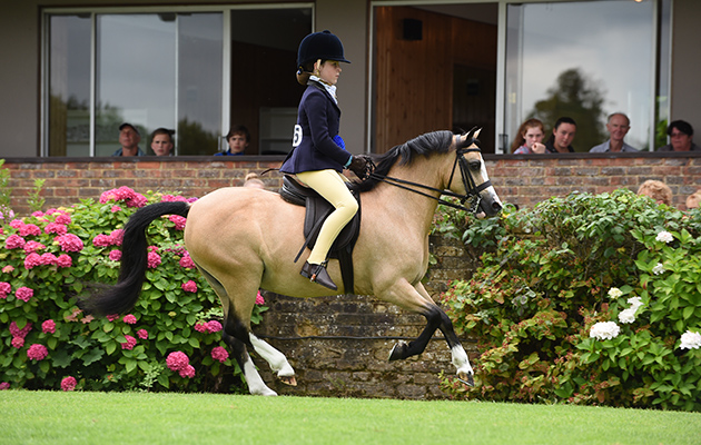 PIPPA DUNCAN riding GRUGAUR SKYLARK, winner in The Young Riders M & M Championship during the Royal International Horse Show at The All England Jumping Course, Hickstead, West Sussex, UK on 27 July 2016