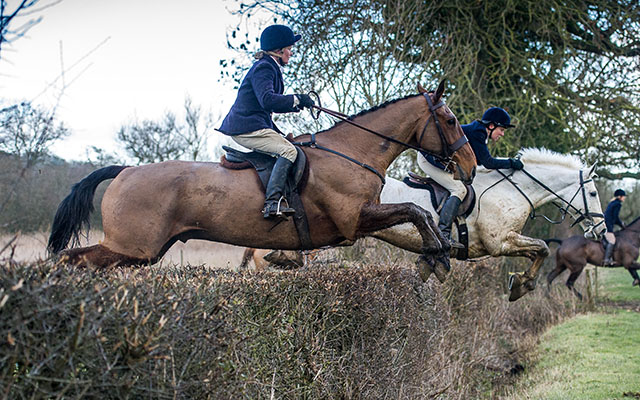 Emily Campbell soars over a Heythrop hedge upsides a fellow thruster