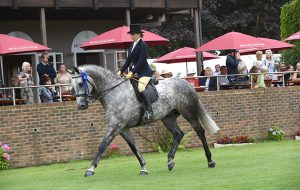 SOFIA SCOTT riding SUNDANCE BOY, reserve in The Supreme Hunter Championship during the Royal International Horse Show at The All England Jumping Course, Hickstead, West Sussex, UK on 28 July 2016