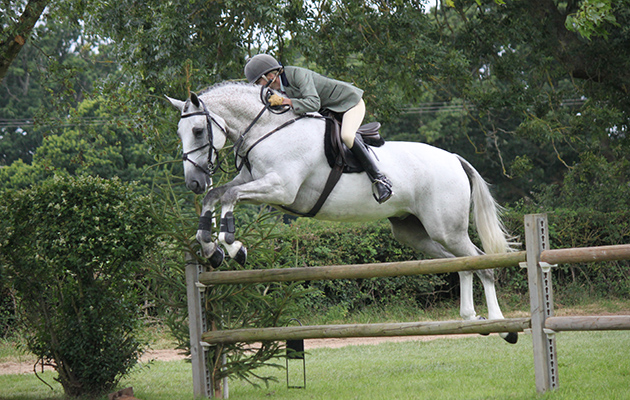 Katrina Braithwaite and Kilderry Rupert working hunter champions