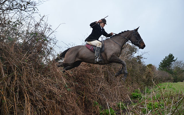 This lady subscriber of the Killinick Harriers crosses their country in perfect balance with her horse